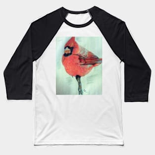 Cardinal Study Baseball T-Shirt